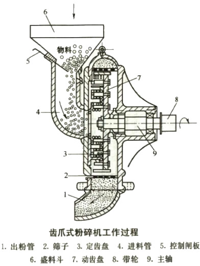 30码期期必中