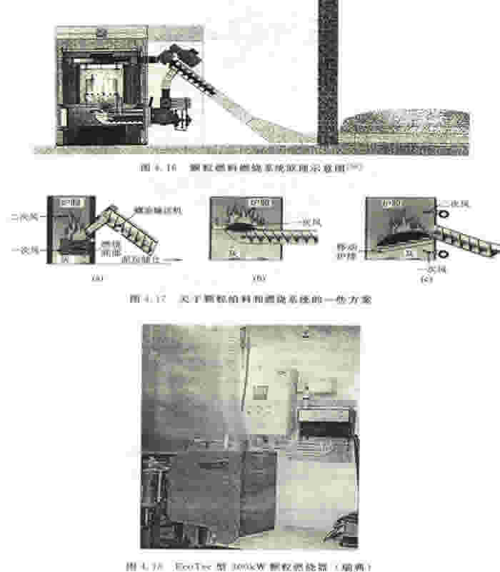 30码期期必中