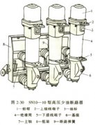 30码期期必中