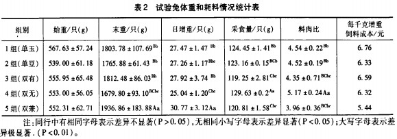 30码期期必中