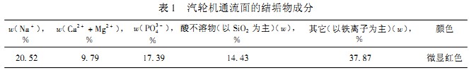 30码期期必中