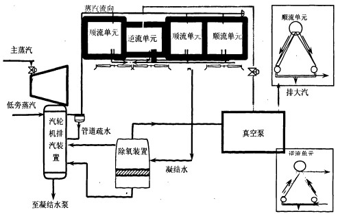 30码期期必中