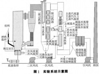 30码期期必中