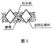 30码期期必中