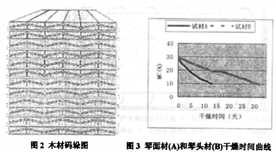 30码期期必中