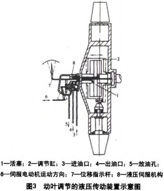 30码期期必中