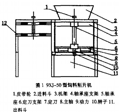 30码期期必中