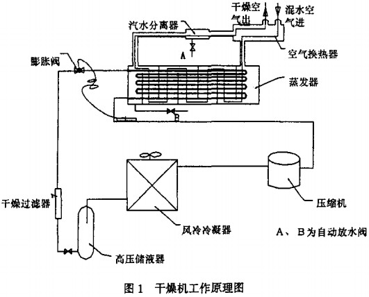 30码期期必中