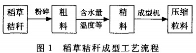 30码期期必中