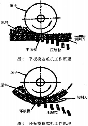 30码期期必中