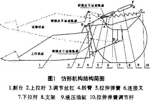 30码期期必中