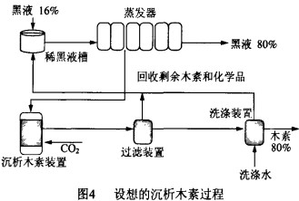 30码期期必中