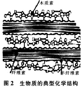 30码期期必中