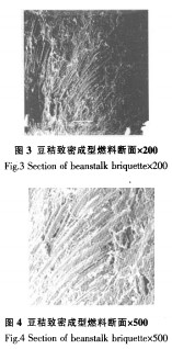 30码期期必中