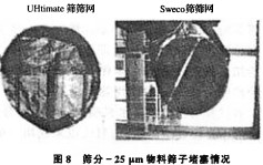 30码期期必中