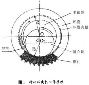 30码期期必中