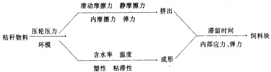 30码期期必中