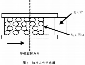 30码期期必中