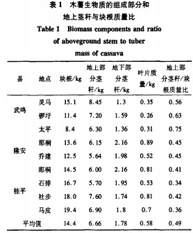 30码期期必中