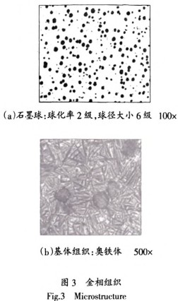 30码期期必中