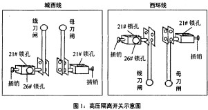 30码期期必中