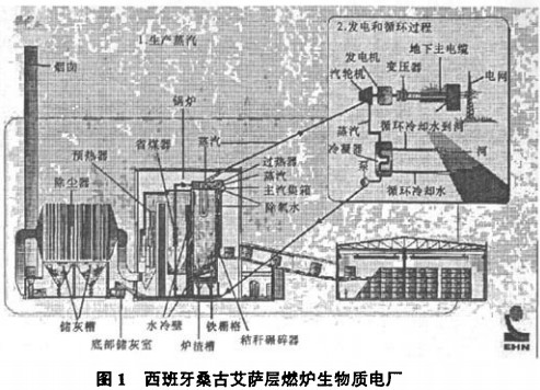 30码期期必中