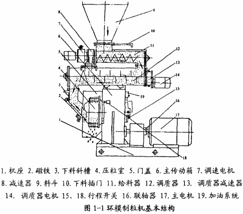 30码期期必中