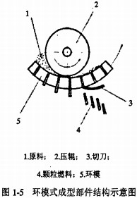 30码期期必中