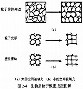 30码期期必中