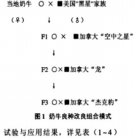 30码期期必中