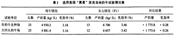 30码期期必中