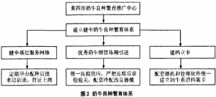 30码期期必中