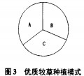 30码期期必中