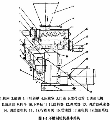 30码期期必中