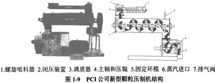 30码期期必中