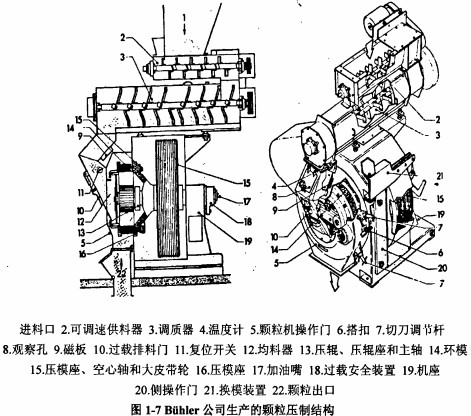 30码期期必中