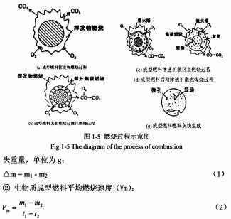 30码期期必中