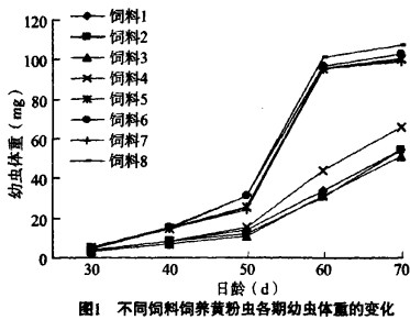 30码期期必中