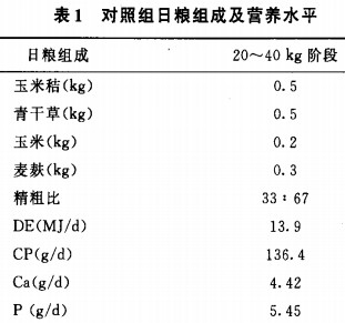 30码期期必中