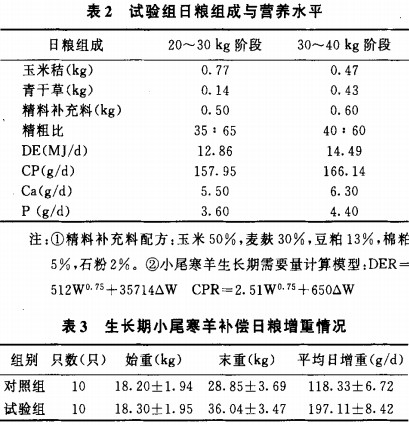 30码期期必中