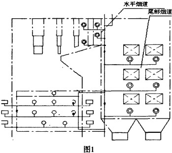 30码期期必中