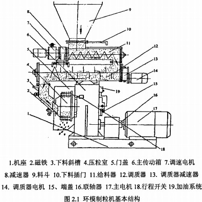 30码期期必中