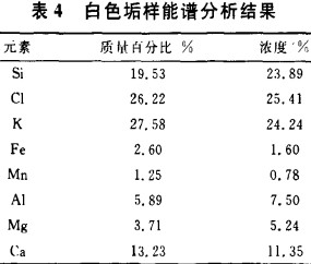 30码期期必中