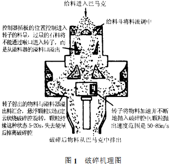 30码期期必中