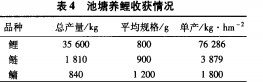 30码期期必中