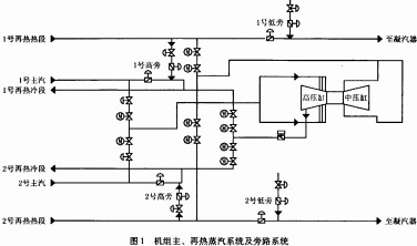 30码期期必中