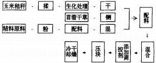 30码期期必中