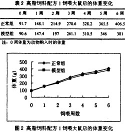 30码期期必中