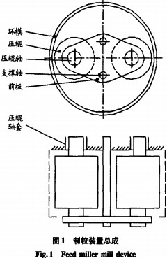 30码期期必中