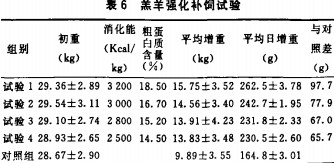 30码期期必中